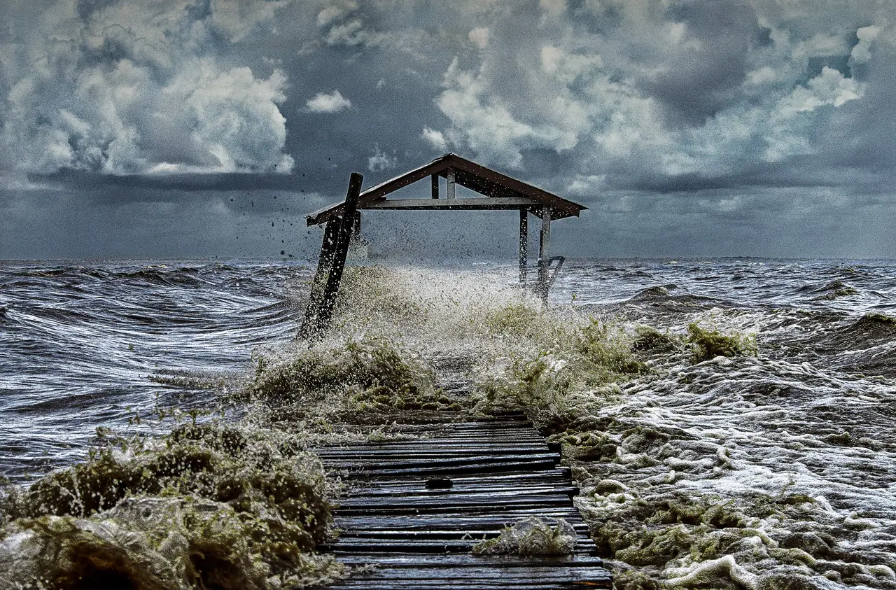 Fotografia de Araquém Alcântara