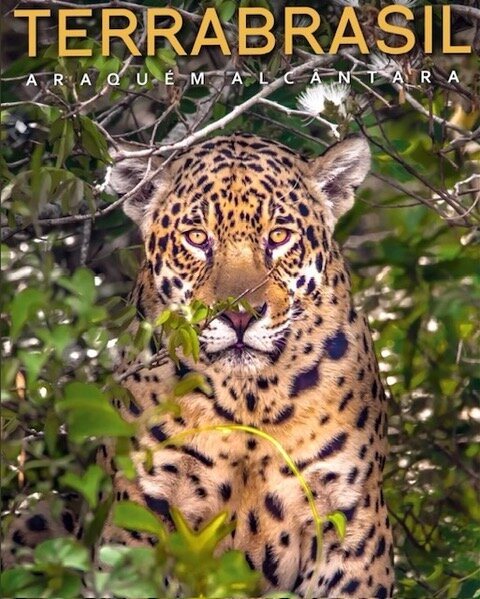 Cover of the book TerraBrasil