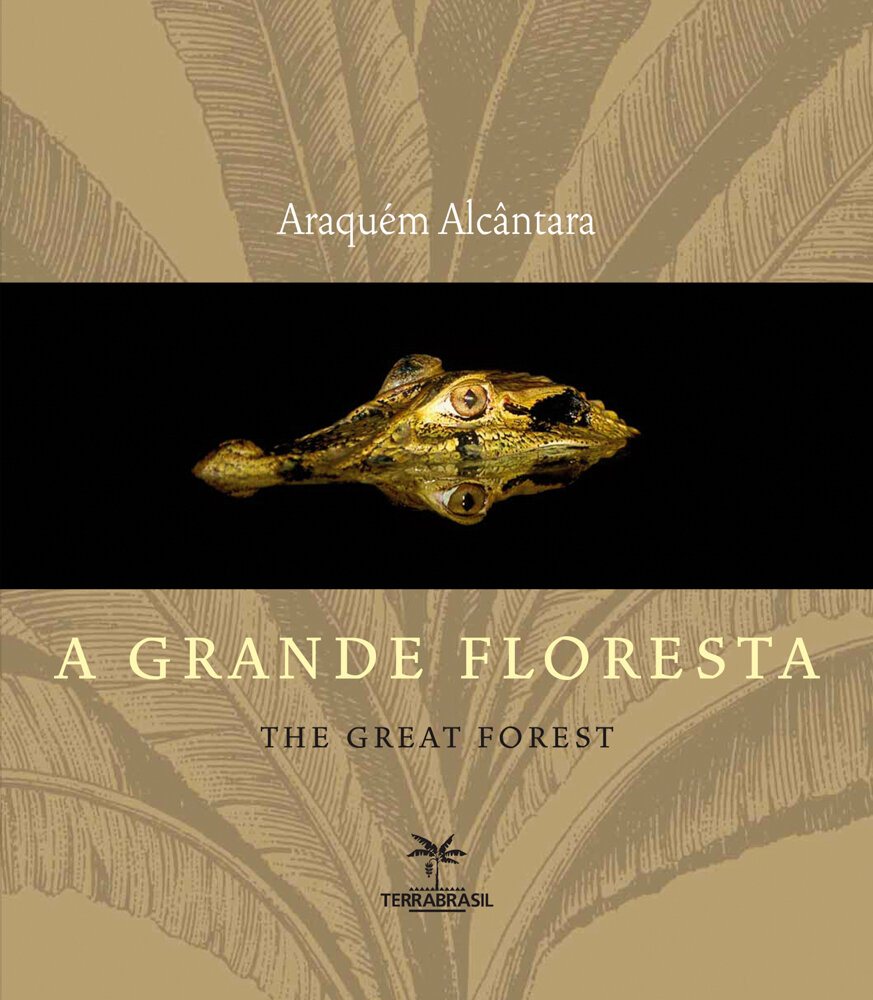 Capa de A grande floresta