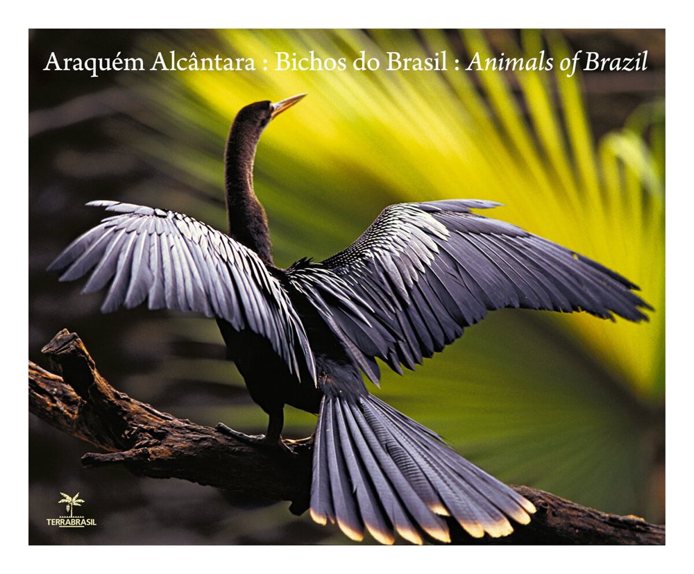 Cover of the book Bichos do Brasil