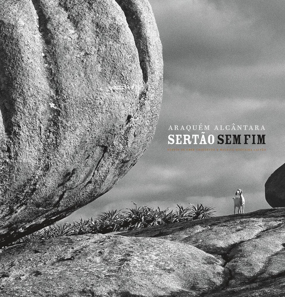 Cover of the book Sertão sem fim