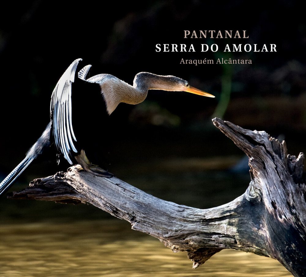 Cover of the book Pantanal Serra do Amolar